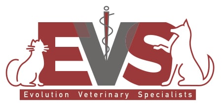 EVS Final Logo